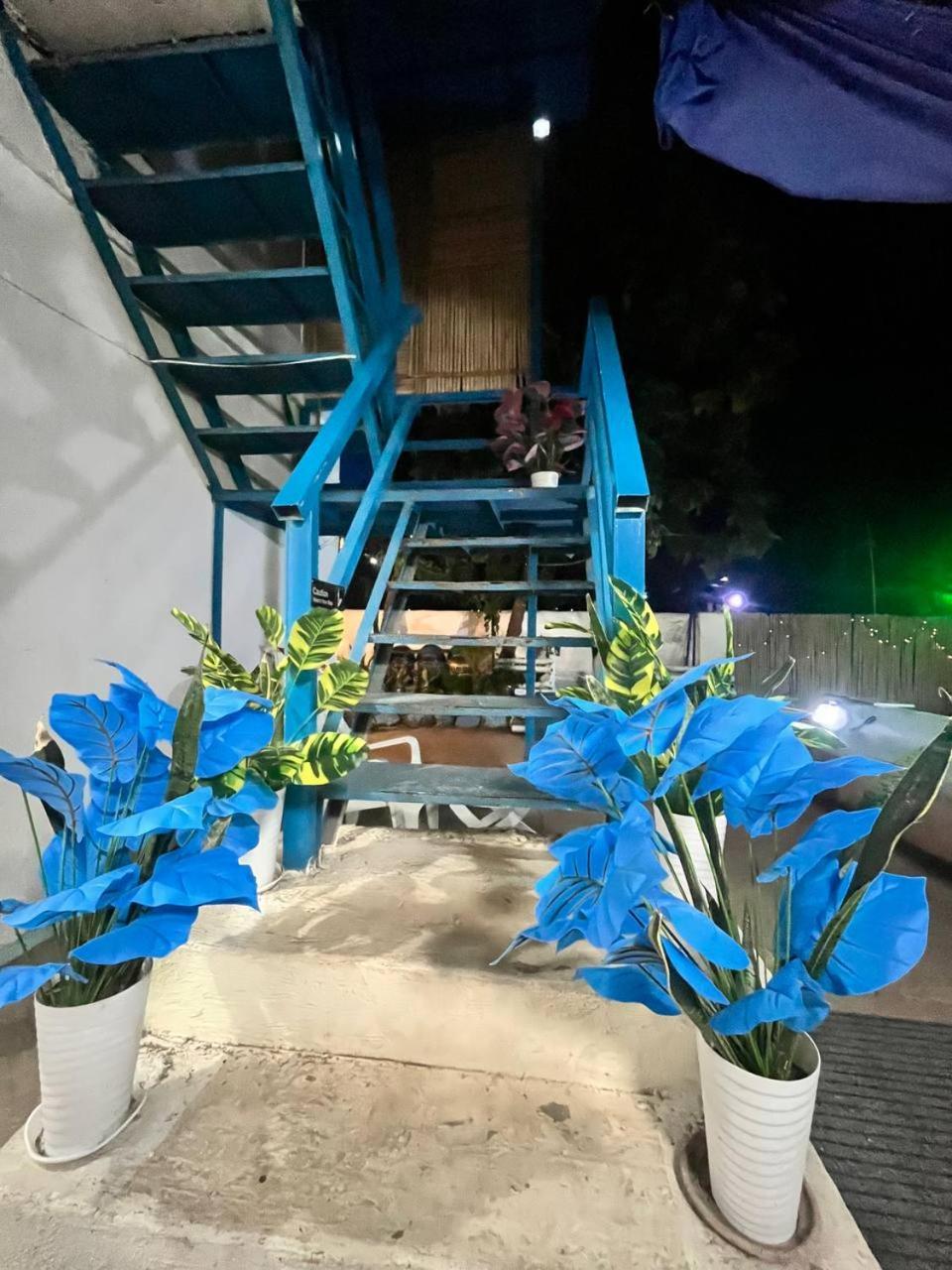 Casa Montemar Heights Coron Dış mekan fotoğraf
